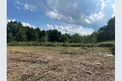 100 Lulu Ln., Bennettsville, SC 29512 - Photo 28