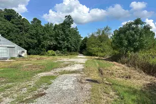 100 Lulu Ln, Bennettsville, SC 29512 - Photo 34