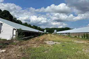 100 Lulu Ln, Bennettsville, SC 29512 - Photo 22