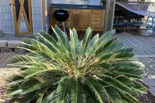 6001 - 7032 S Kings Hwy, Myrtle Beach, SC 29575 - Photo 40