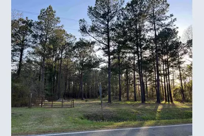 2108 Lees Landing Circle, Conway, SC 29526 - Photo 8