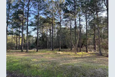 2108 Lees Landing Circle, Conway, SC 29526 - Photo 2