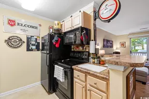 3786 Hitchcock Way, Myrtle Beach, SC 29577 - Photo 4