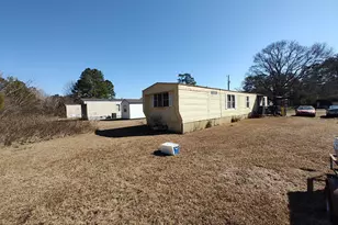 53 Newton Trail, Andrews, SC 29510 - Photo 2