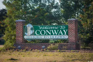 559 Courtridge Loop, Conway, SC 29526 - Photo 32