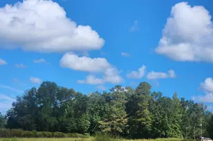 Tbd Goff Rd, Aynor, SC 29511 - Photo 1