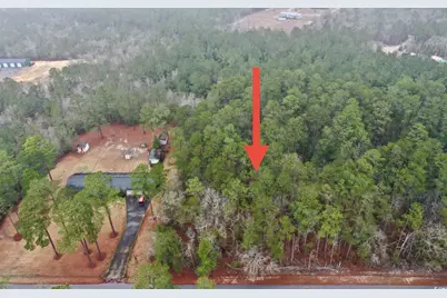 5370 Crutchlow Ct., Nichols, SC 29581 - Photo 2