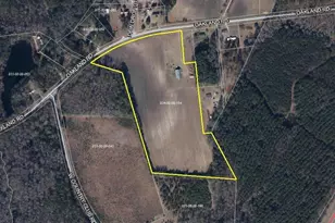 429 Oakland Rd, Hamer, SC 29547 - Photo 40