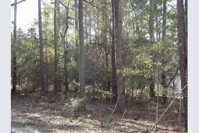 40 Pineberry Dr., Georgetown, SC 29440 - Photo 6
