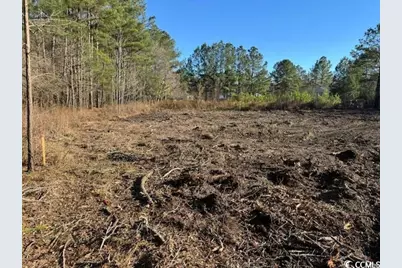 Tbd Redmond Ct., Conway, SC 29526 - Photo 1