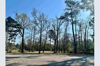 Tbd N Main St., Nichols, SC 29581 - Photo 6