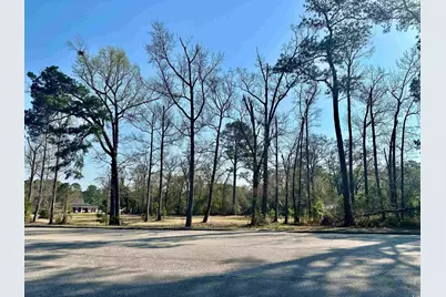 Tbd N Main St., Nichols, SC 29581 - Photo 4