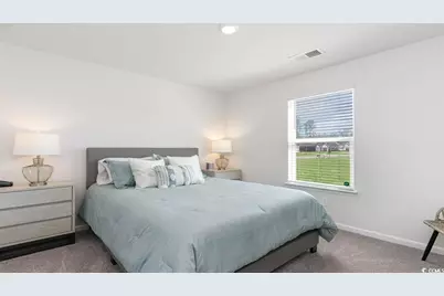 572 Strawberry Field Way, Galivants Ferry, SC 29544 - Photo 20