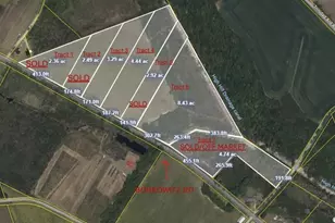 Tract 3 Borkowitz Rd, Scranton, SC 29591 - Photo 1