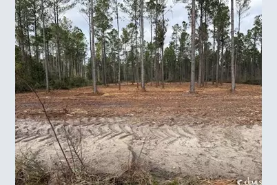 6.84 Acs Kates Bay Hwy., Conway, SC 29527 - Photo 2