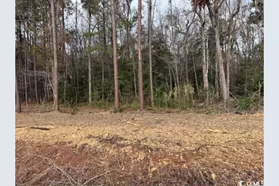 7.39 Acs Kates Bay Hwy., Conway, SC 29527 - Photo 4