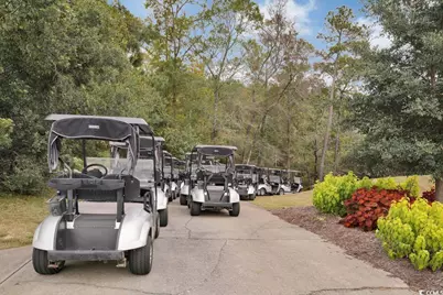 986 Cherrystone Loop, Conway, SC 29526 - Photo 34