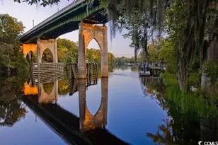 981 Cherrystone Loop, Conway, SC 29526 - Photo 38