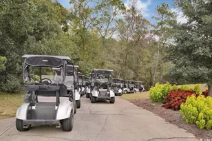 981 Cherrystone Loop, Conway, SC 29526 - Photo 36