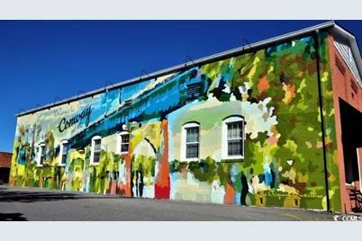 981 Cherrystone Loop, Conway, SC 29526 - Photo 40