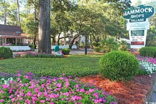 4 Hope Ln, Pawleys Island, SC 29585 - Photo 8