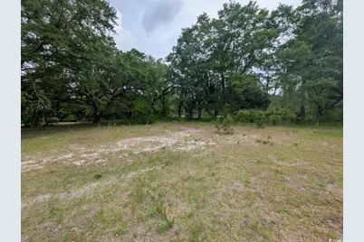 450 Hayfield Rd., Georgetown, SC 29440 - Photo 4