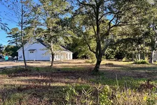 133 Thrush Ct, Georgetown, SC 29440 - Photo 22