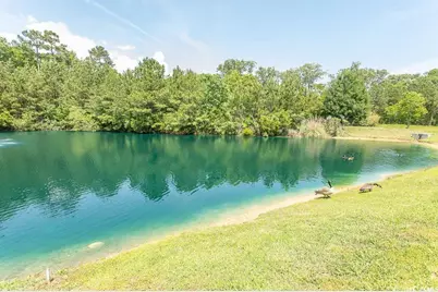 232 Palm Cove Circle, Myrtle Beach, SC 29588 - Photo 36