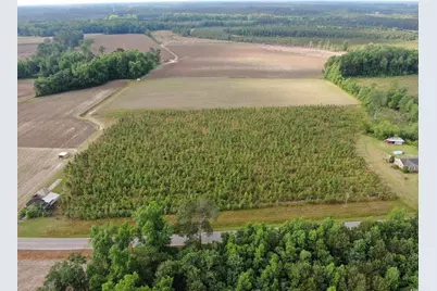 Tbd Highway 430, Nichols, SC 29581 - Photo 4