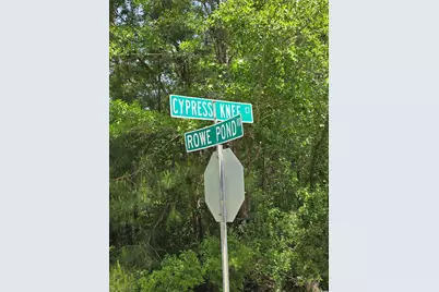 Lot 17 Rowe Pond Rd., Conway, SC 29526 - Photo 20