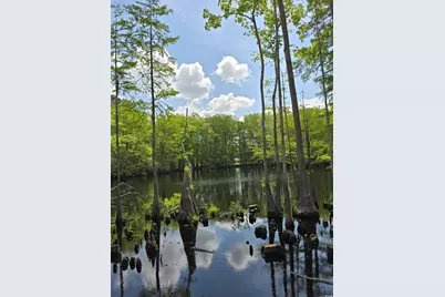 Lot 17 Rowe Pond Rd., Conway, SC 29526 - Photo 14