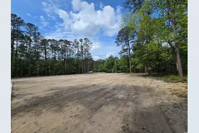Lot 17 Rowe Pond Rd., Conway, SC 29526 - Photo 10