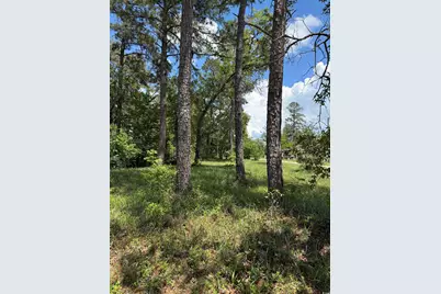 Tbd Hampton Rd., Conway, SC 29527 - Photo 1