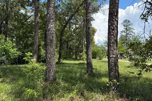 Tbd Hampton Rd, Conway, SC 29527 - Photo 1