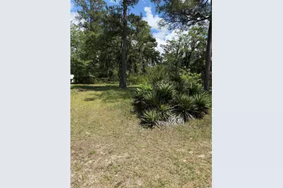 Tbd Hampton Rd., Conway, SC 29527 - Photo 6