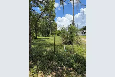 Tbd Hampton Rd., Conway, SC 29527 - Photo 2