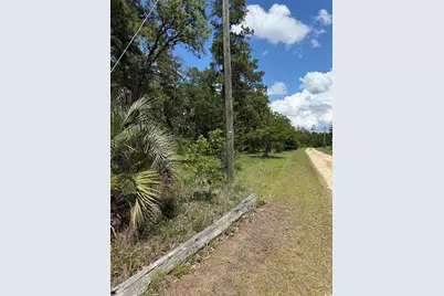 Tbd Hampton Rd., Conway, SC 29527 - Photo 4