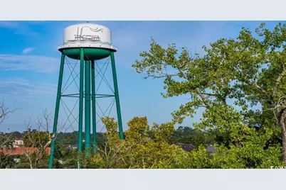 2851 Riverboat Way, Conway, SC 29526 - Photo 30