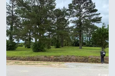 9.76 Acs Rabon Rd., Aynor, SC 29511 - Photo 2