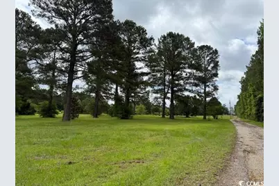 9.76 Acs Rabon Rd., Aynor, SC 29511 - Photo 4