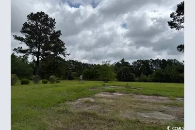 9.76 Acs Rabon Rd., Aynor, SC 29511 - Photo 6