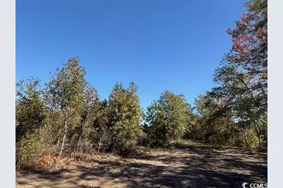 9.76 Acs Rabon Rd., Aynor, SC 29511 - Photo 20