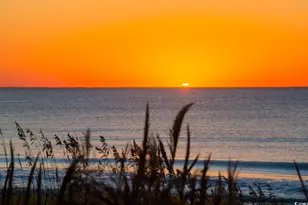 3721 Ed Smith Ave, Myrtle Beach, SC 29588 - Photo 40