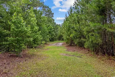 1342 Highway 90, Conway, SC 29526 - Photo 6