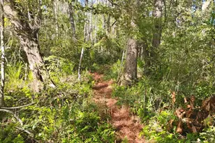 120 Yale Pl, Pawleys Island, SC 29585 - Photo 28