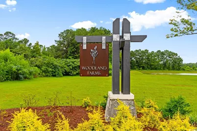 572 Woodland Farms Circle, Aynor, SC 29511 - Photo 34