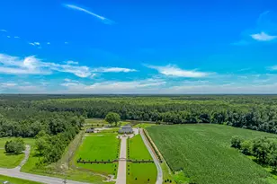 15810 County Line Rd, Andrews, SC 29510 - Photo 34