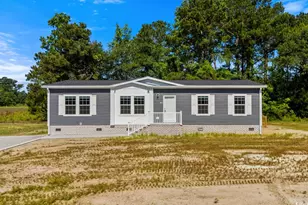 1132 Amanda Ln, Loris, SC 29569 - Photo 34