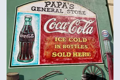 119 Westfield Circle, Conway, SC 29526 - Photo 20