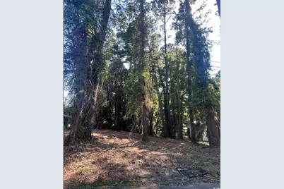 1229 Park Hill Dr., Conway, SC 29526 - Photo 4